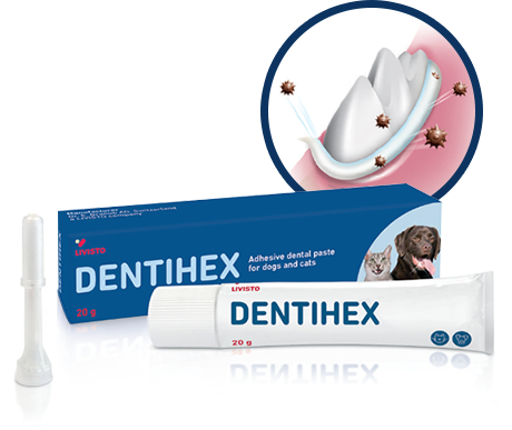 Dentihex product